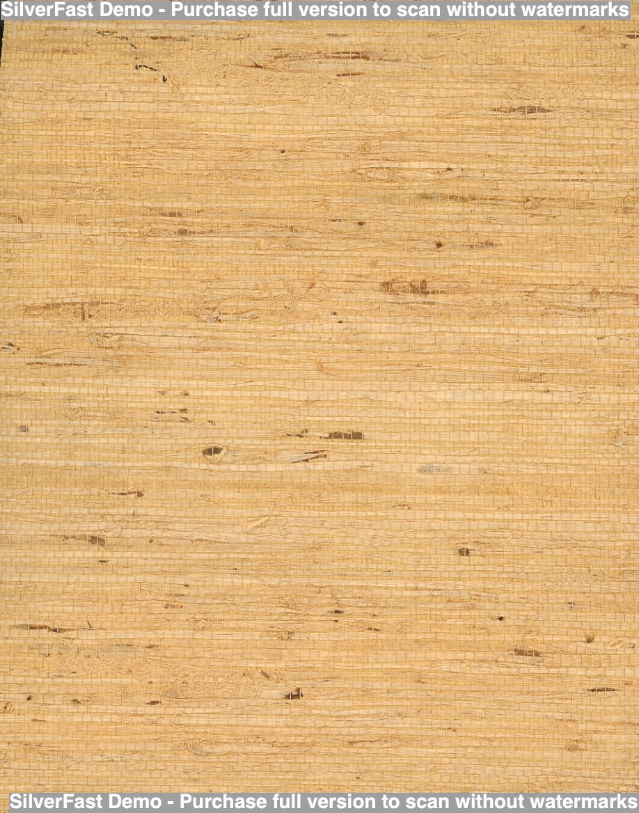 Avorio Sand Grasscloth Wallcovering