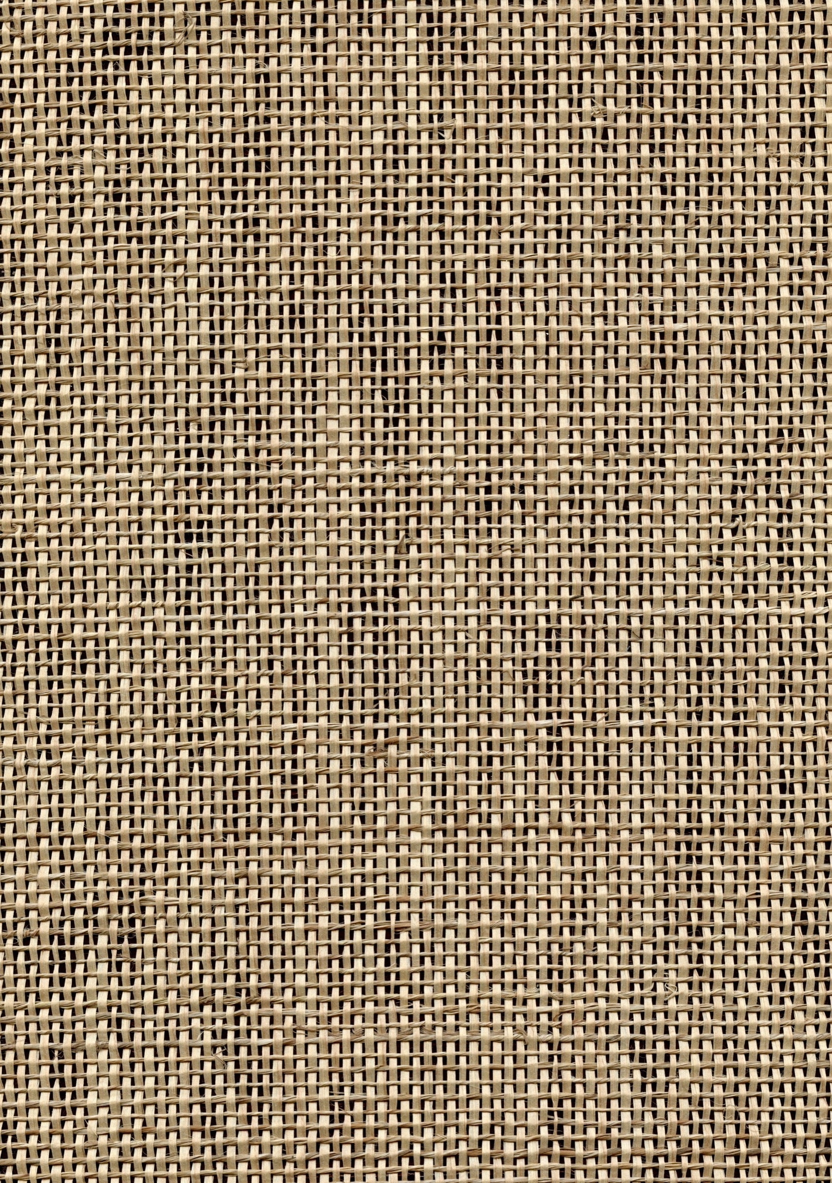 Nuoro Cream, Black Grasscloth Wallcovering